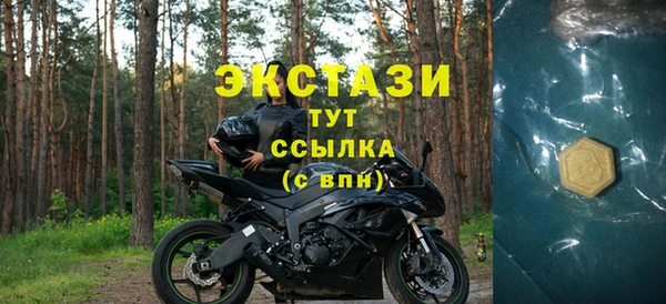 гашик Заводоуковск