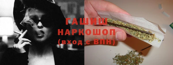 гашик Заводоуковск