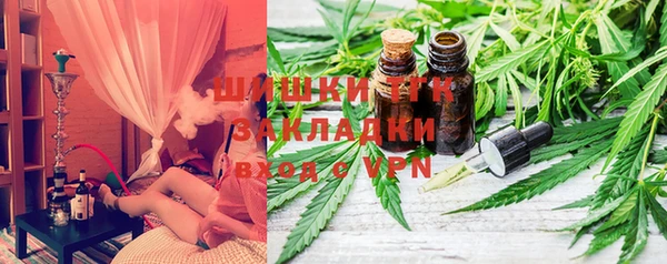гашик Заводоуковск