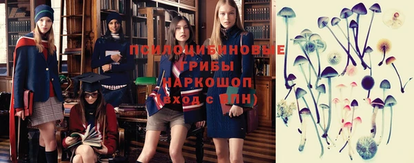 гашик Заводоуковск